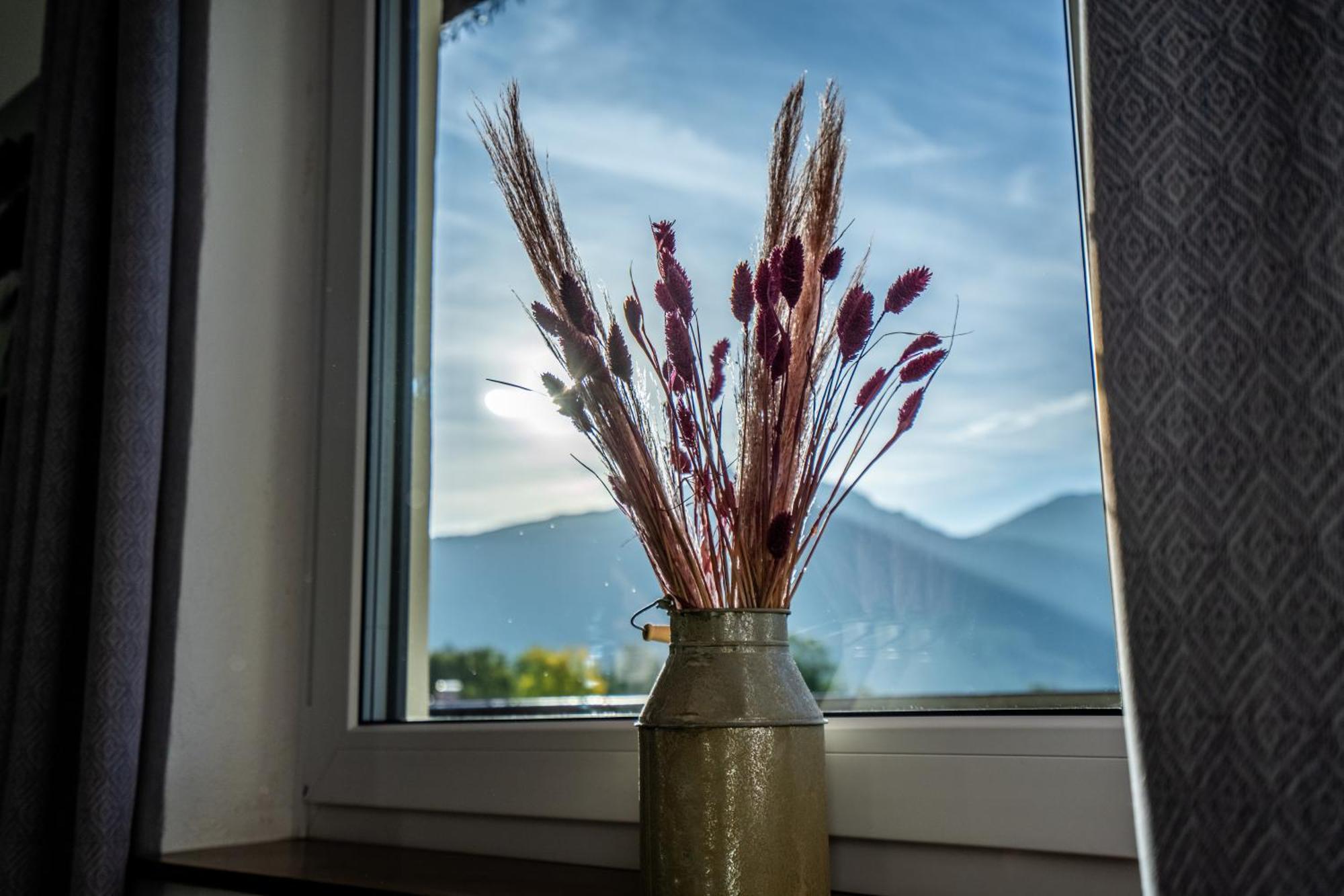 Tiroler Alpblick Appartements 埃尔瓦尔德 外观 照片